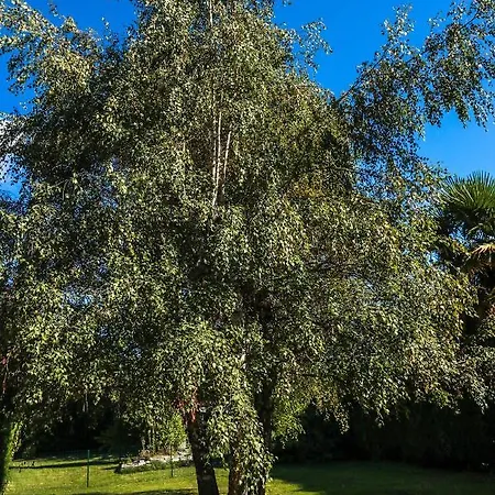 Le Domaine Des 3 Marmottes D' Hotes B&B