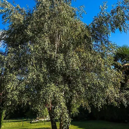 Le Domaine Des 3 Marmottes D' Hotes Bed & Breakfast